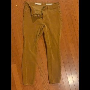 Pilcro and the Letterpress High Rise Skinny Pants